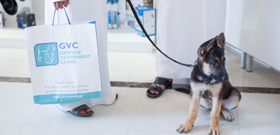 Pet health care plans in Abu Dhabi